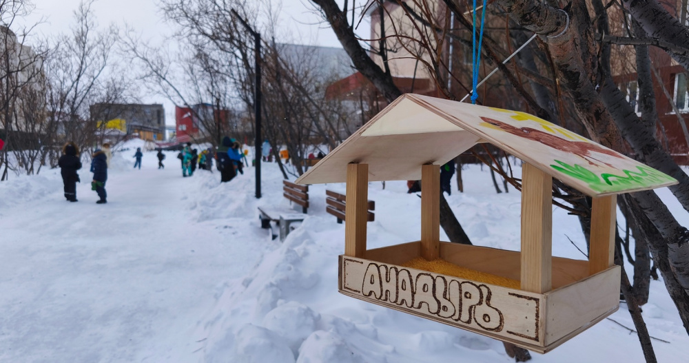 "Столовую для птиц" организовали ученики анадырской школы