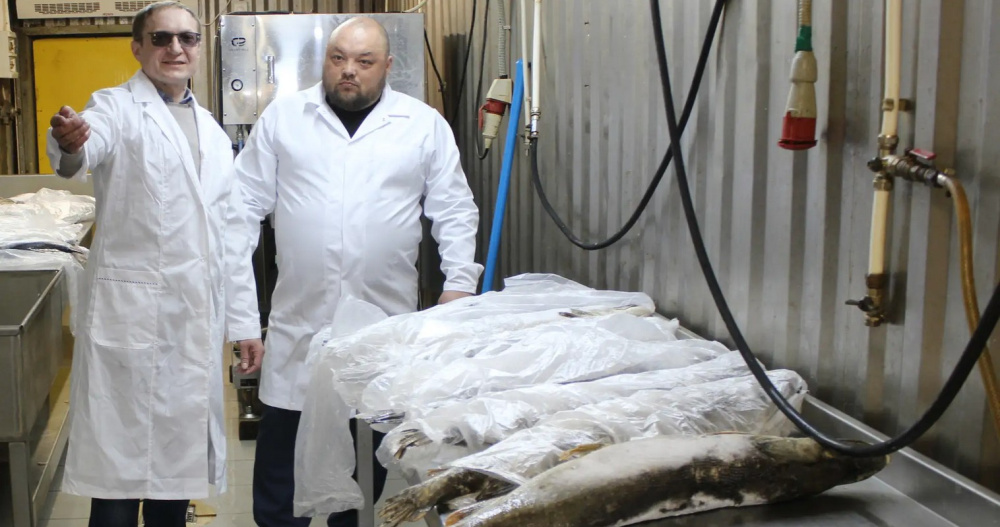 Производство рыбной продукции оценил участник программы "Герои Чукотки"