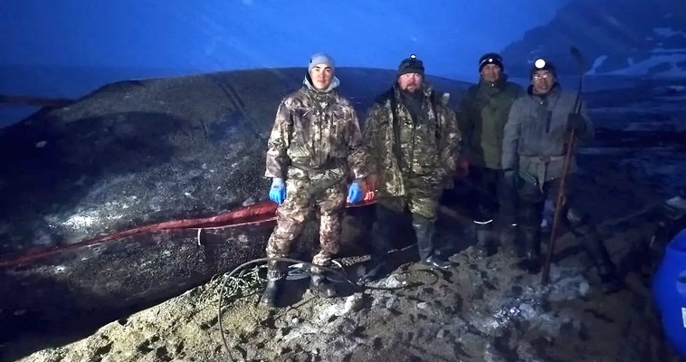 Сезон китовой охоты открыли на Чукотке
