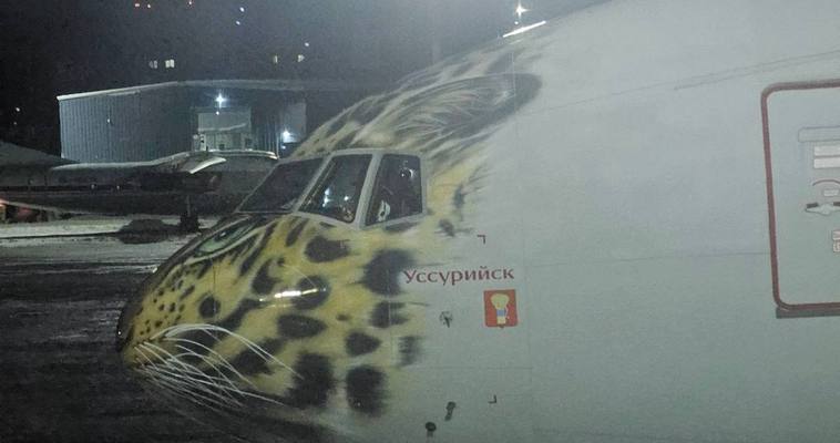 Главный аэропорт Чукотки заработал после двух дней простоя