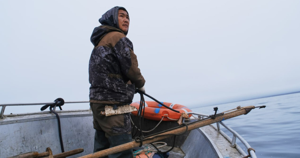 Более четырёх тысяч морских млекопитающих смогут добыть охотники Чукотки