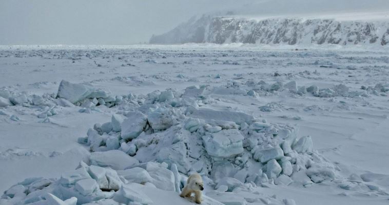 Небольшой снег пройдет во вторник на севере округа 