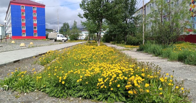 До +25 потеплеет на западе континентальной части округа в воскресенье 