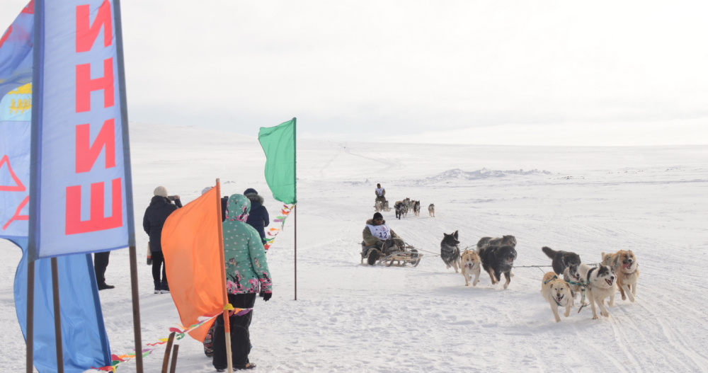 Гонка на собачьих упряжках "Надежда-2025" впервые финиширует в Уэлене