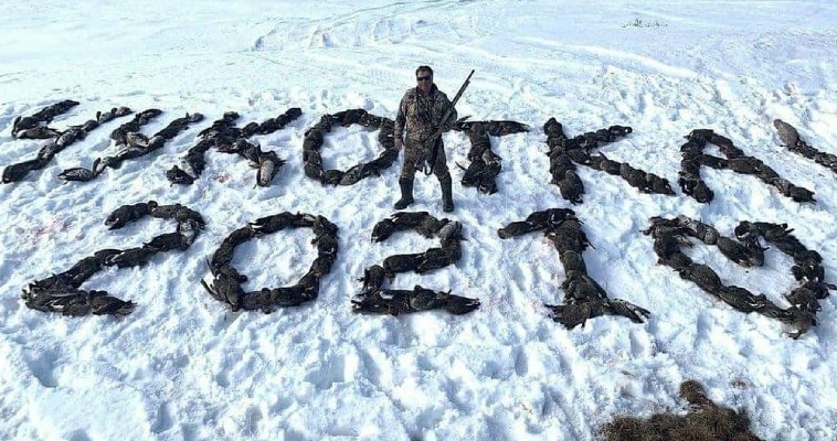 Расследовать случай массового отстрела птиц в округе поручил Роман Копин