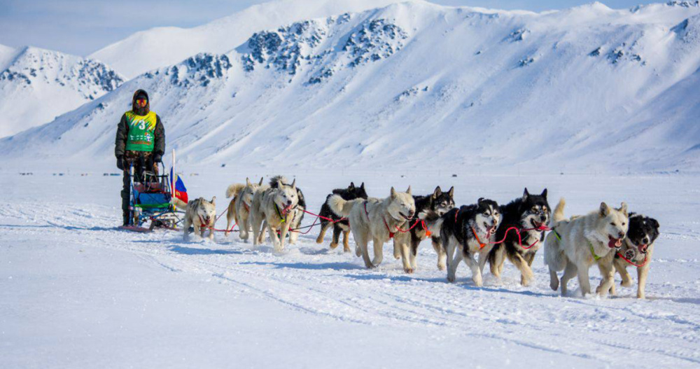 Первенство в гонке на собачьих упряжках "Надежда" перехватил Сергей Улькенашин