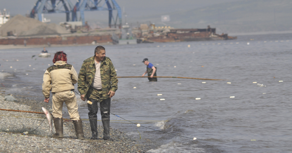 Свыше 660 тонн лососей разрешили выловить коренным жителям Чукотки