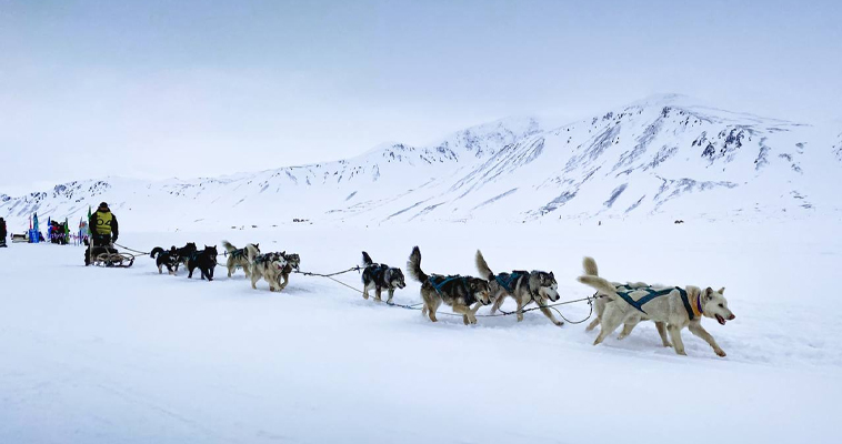 Участники чукотской гонки "Надежда" достигли самой дальней точки маршрута