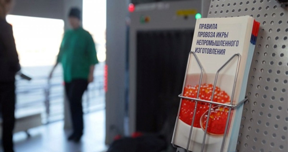 В аэропорту Анадыря потренировались досматривать багаж пассажиров с икрой