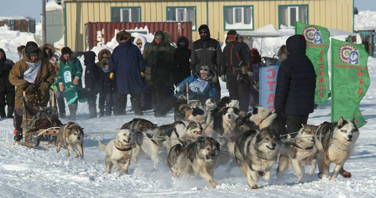 Победителями первого этапа "Надежды-2024" стали лоринские каюры