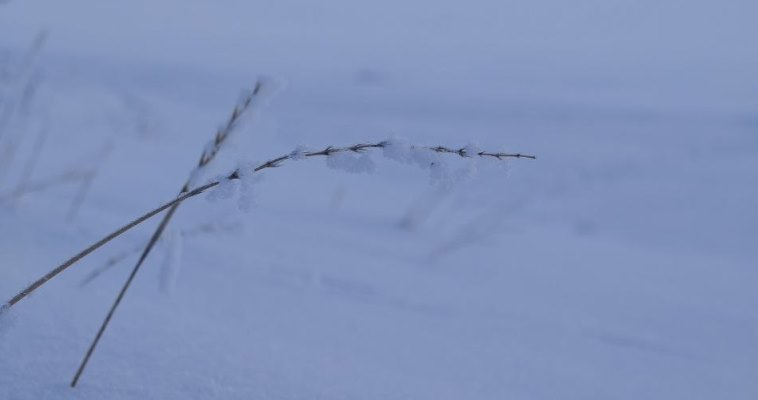 Снег возможен во вторник в регионе