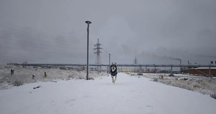 Ветер до 23 м/с прогнозируется в МО Певек в воскресенье 