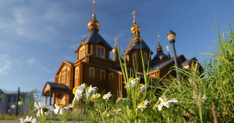 Встреча с писателем и художников Василием Дворцовым пройдёт в Анадыре