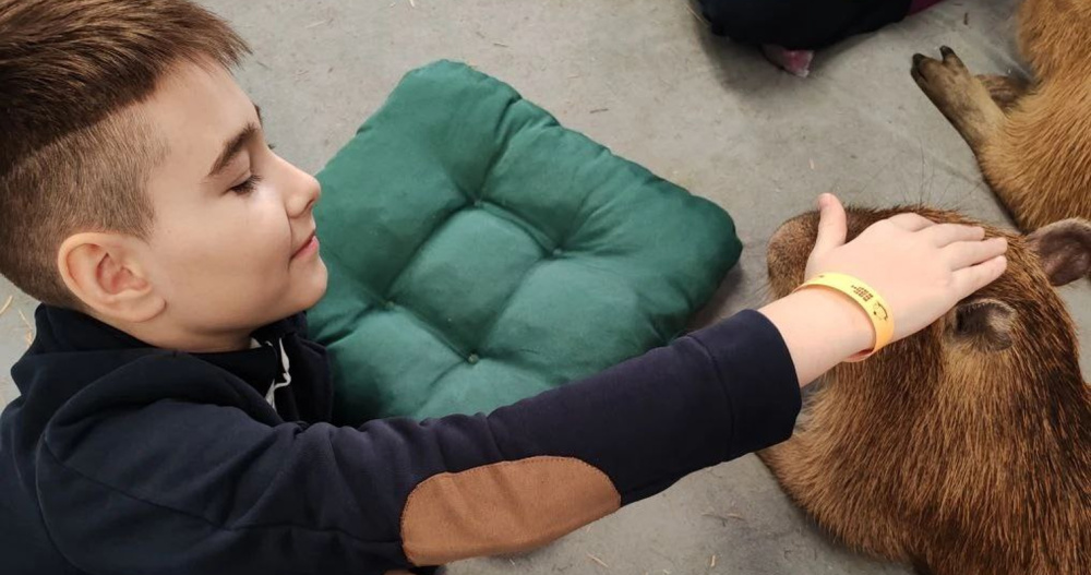 Чукотский школьник смог обнять и покормить капибару