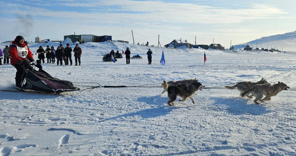 На Чукотке стартовала гонка на собачьих упряжках "Надежда – 2025"