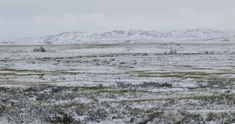 В пятницу на северо-востоке региона снова пройдут дожди со снегом 