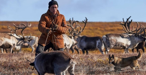 Разработан проект программы поддержки традиционной деятельности КМНС