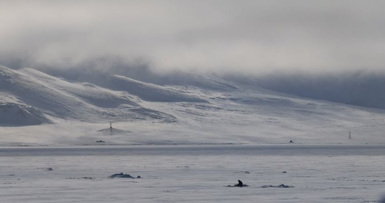 Небольшой снег возможен в регионе во вторник