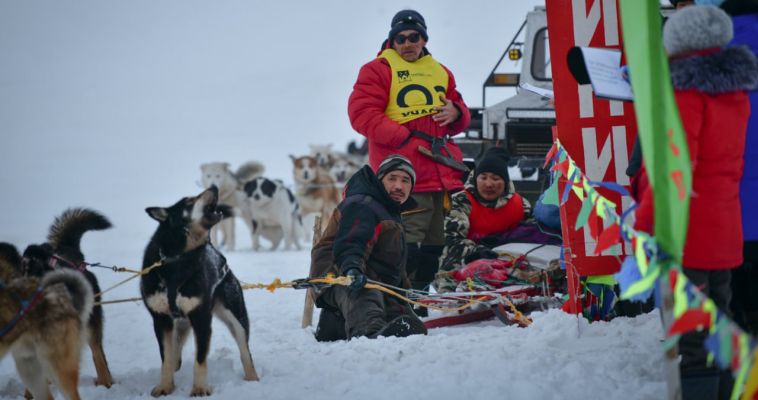 Геннадий Томилов стал победителем чукотской гонки на собачьих упряжках "Надежда"
