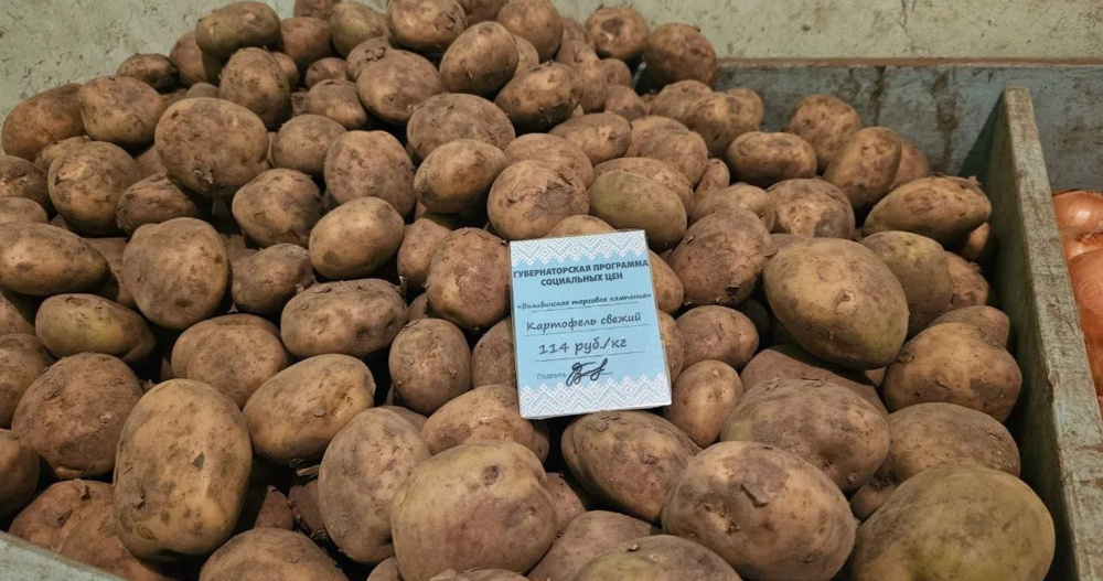 В Билибино решают вопрос дефицита свежих овощей по субсидированным ценам