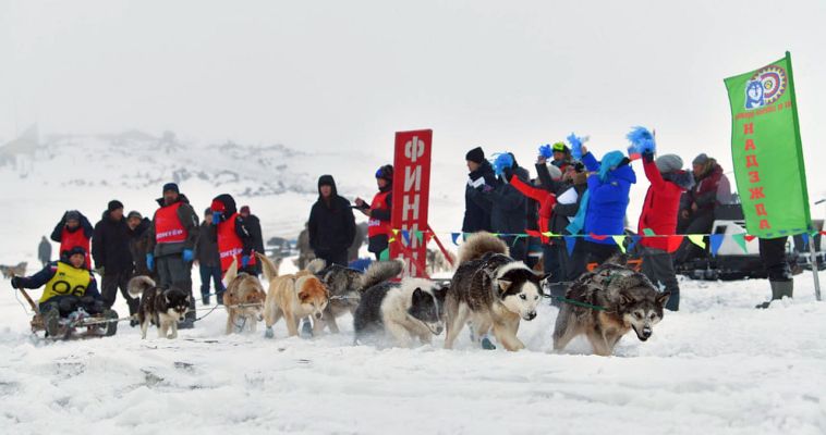 Гонка на собачьих упряжках "Надежда" преодолела экватор