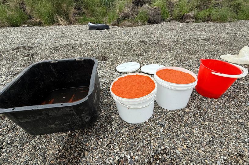 1411-Браконьер-2