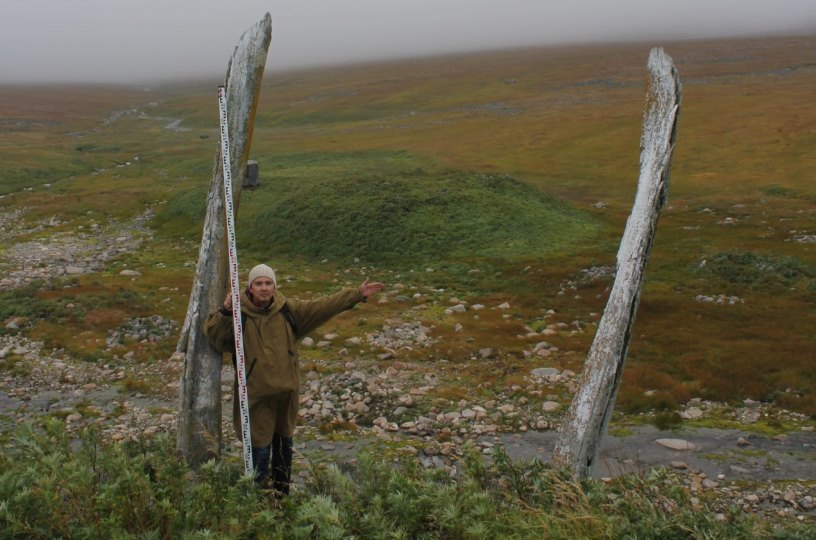 Мониторинг памятников