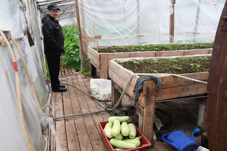 КФК Тынтина выращивает около 15 наименований овощей и зелени.JPG